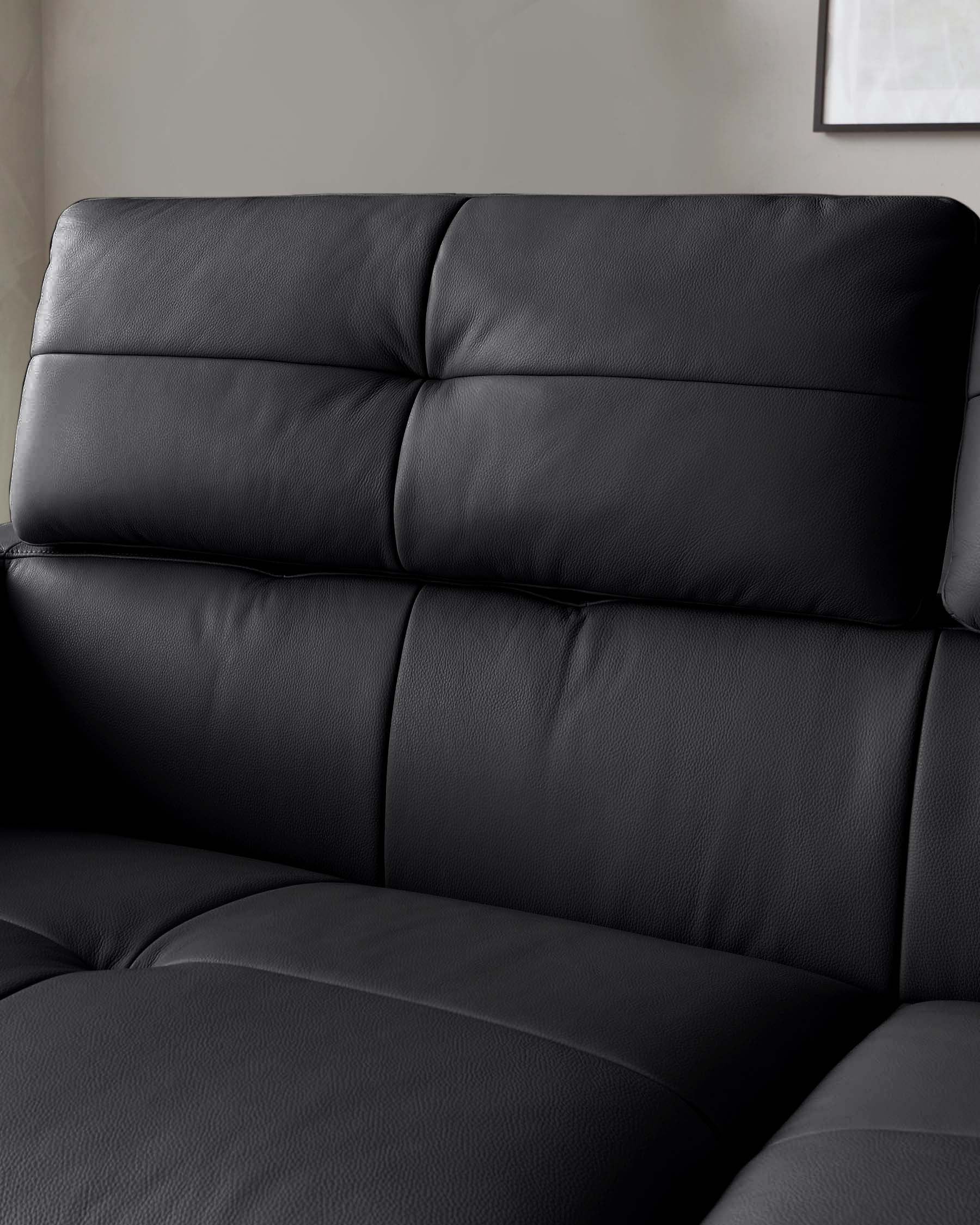 Colton black leather 2 seater sofa - Image 5